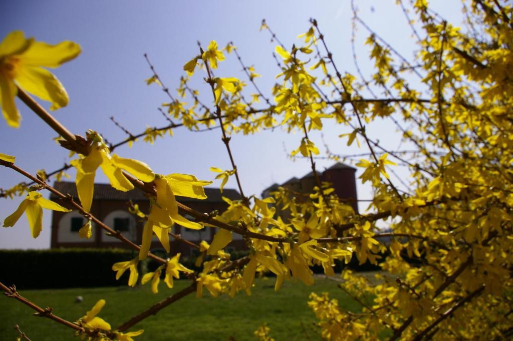 Agriturismo Cascina Nuova Villa Valenza Eksteriør billede