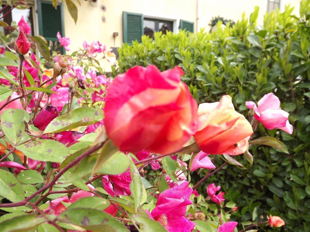 Agriturismo Cascina Nuova Villa Valenza Eksteriør billede