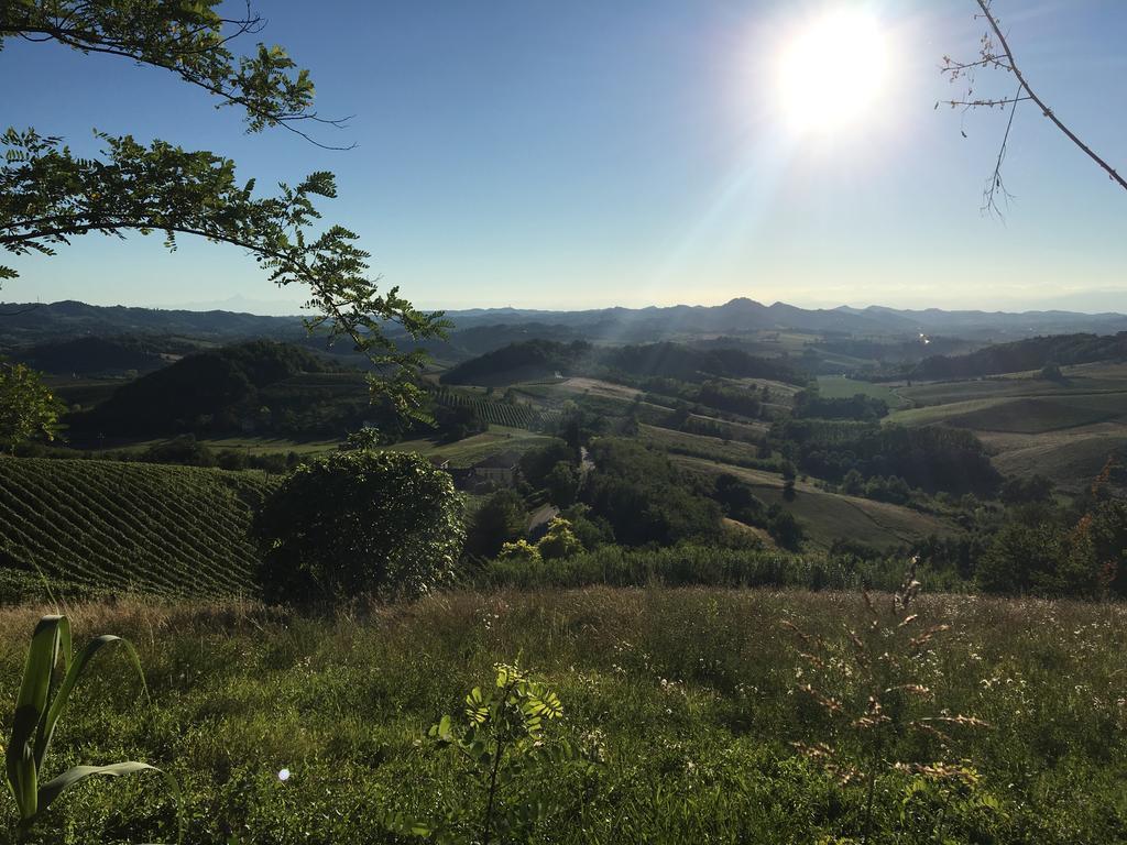 Agriturismo Cascina Nuova Villa Valenza Eksteriør billede