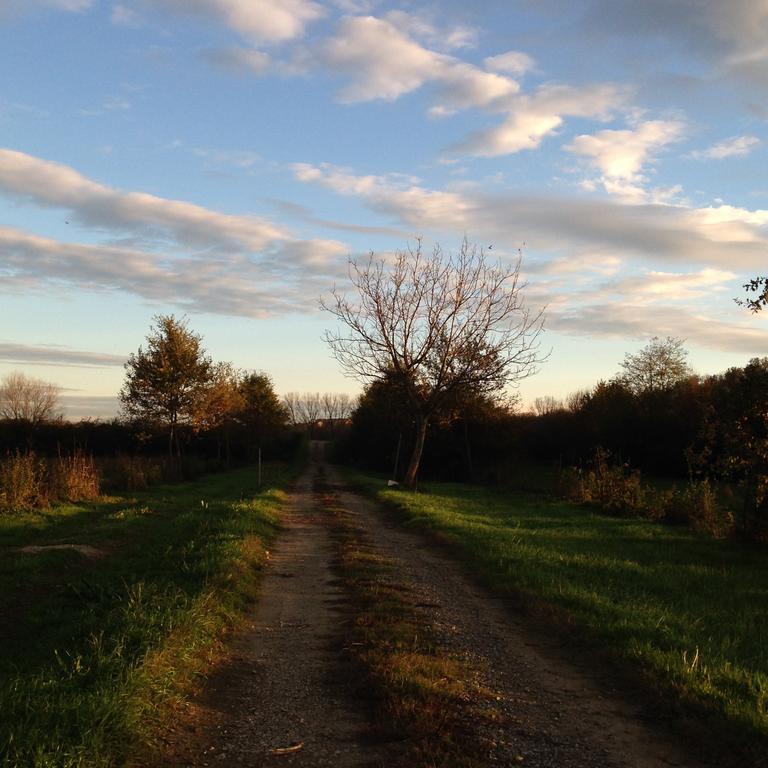 Agriturismo Cascina Nuova Villa Valenza Eksteriør billede