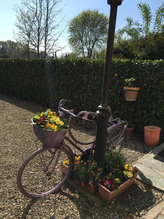 Agriturismo Cascina Nuova Villa Valenza Eksteriør billede