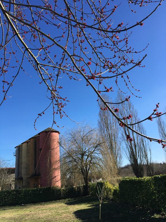 Agriturismo Cascina Nuova Villa Valenza Eksteriør billede