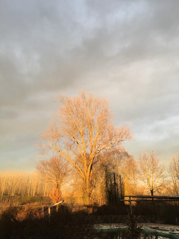 Agriturismo Cascina Nuova Villa Valenza Eksteriør billede