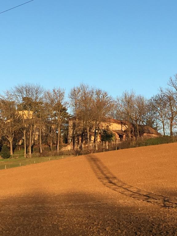 Agriturismo Cascina Nuova Villa Valenza Eksteriør billede