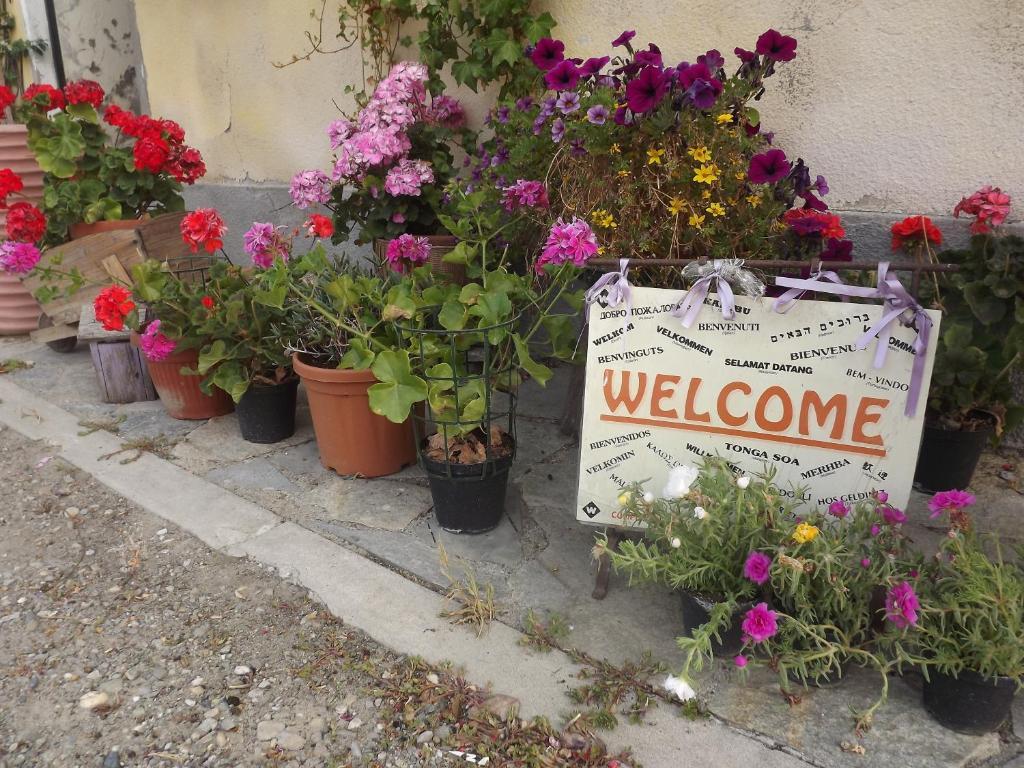 Agriturismo Cascina Nuova Villa Valenza Eksteriør billede