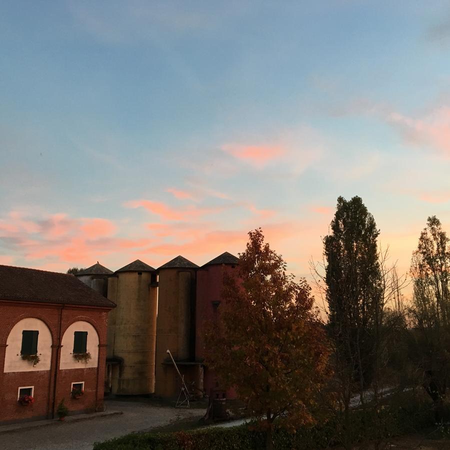 Agriturismo Cascina Nuova Villa Valenza Eksteriør billede