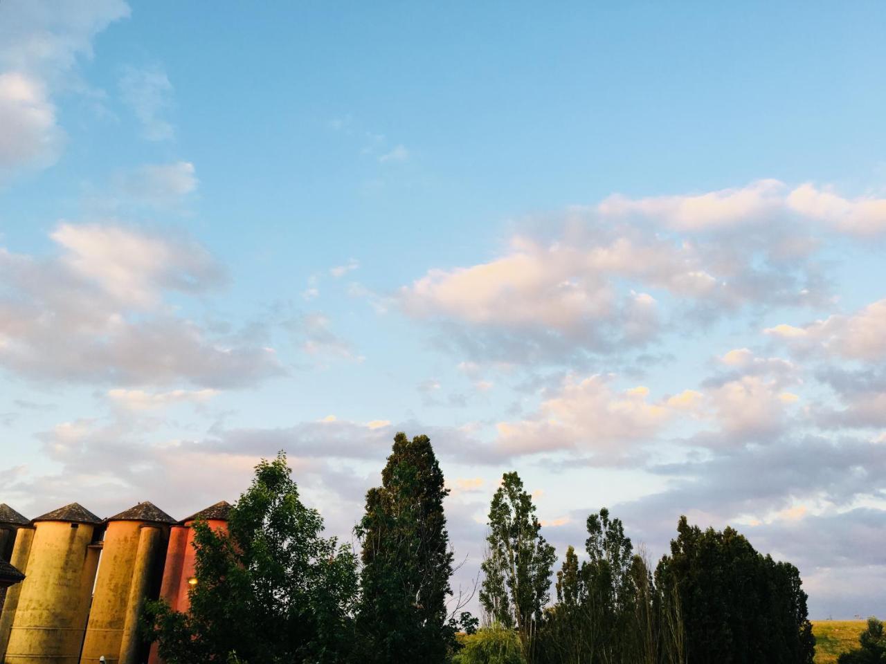 Agriturismo Cascina Nuova Villa Valenza Eksteriør billede