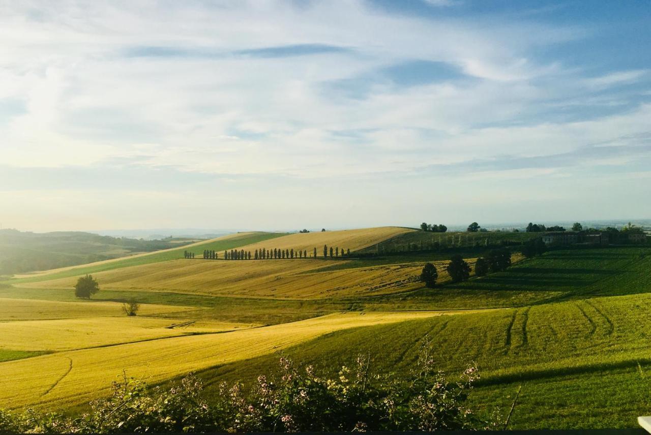 Agriturismo Cascina Nuova Villa Valenza Eksteriør billede